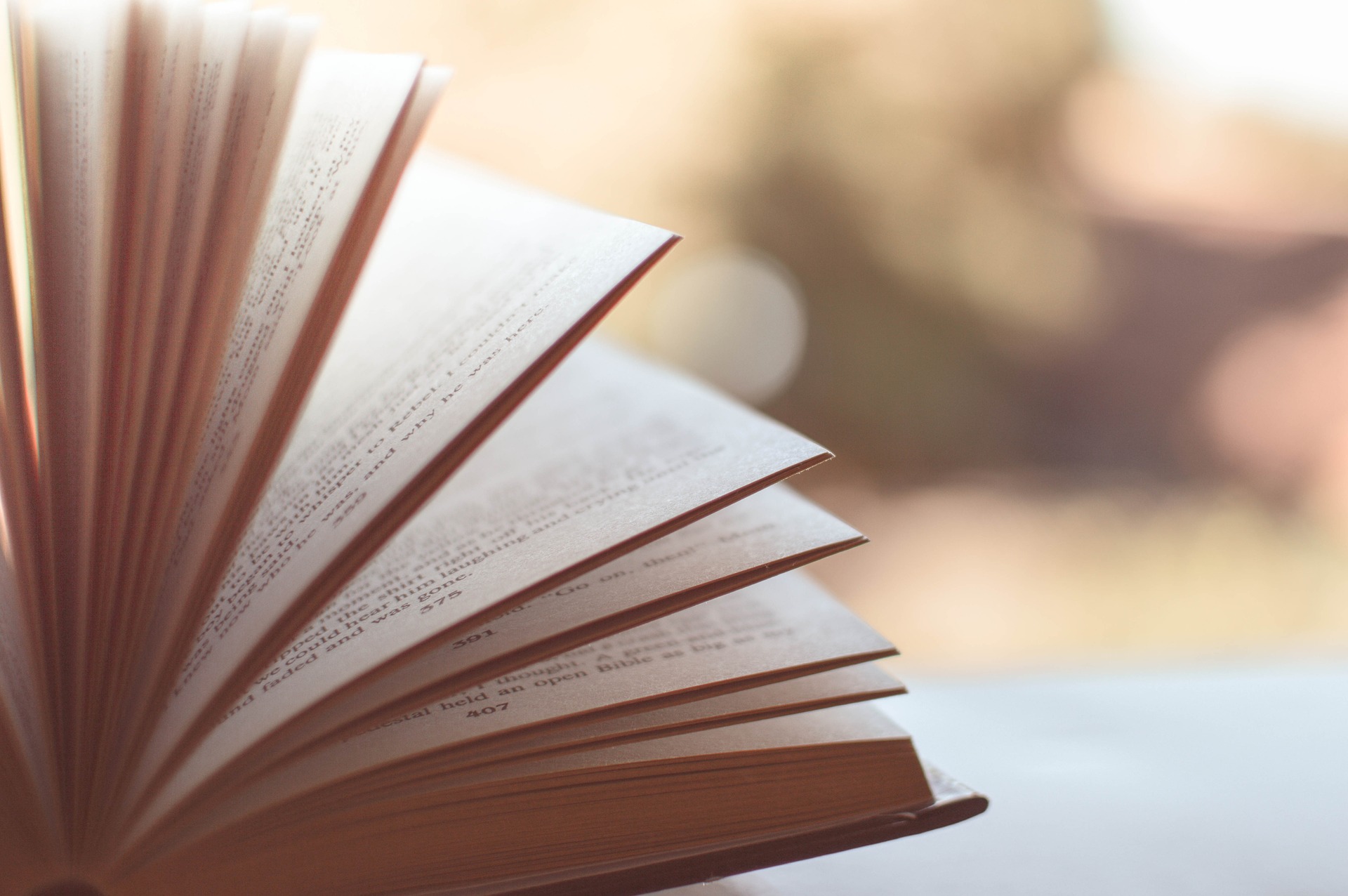 book-gf1a6c17a3_1920.jpg